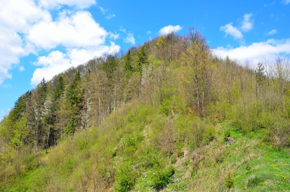 Bielska skala – Podbiel