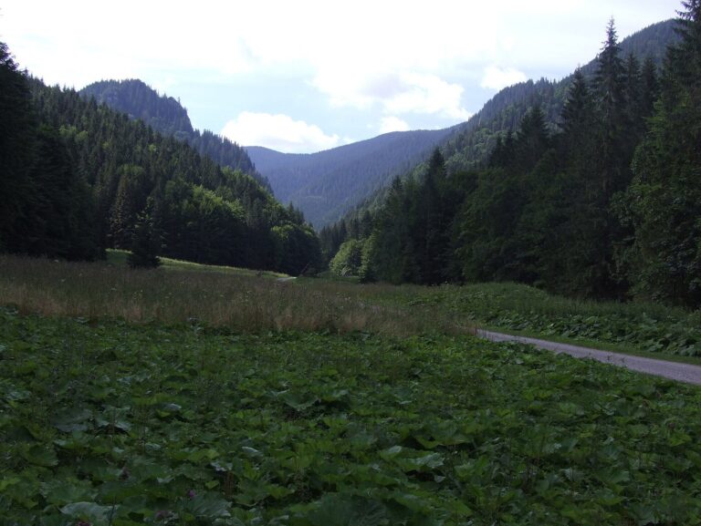 Bobrovecké plieska a Bobrovecká dolina