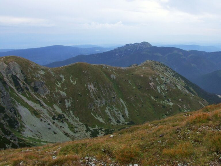 Brestová Roháče