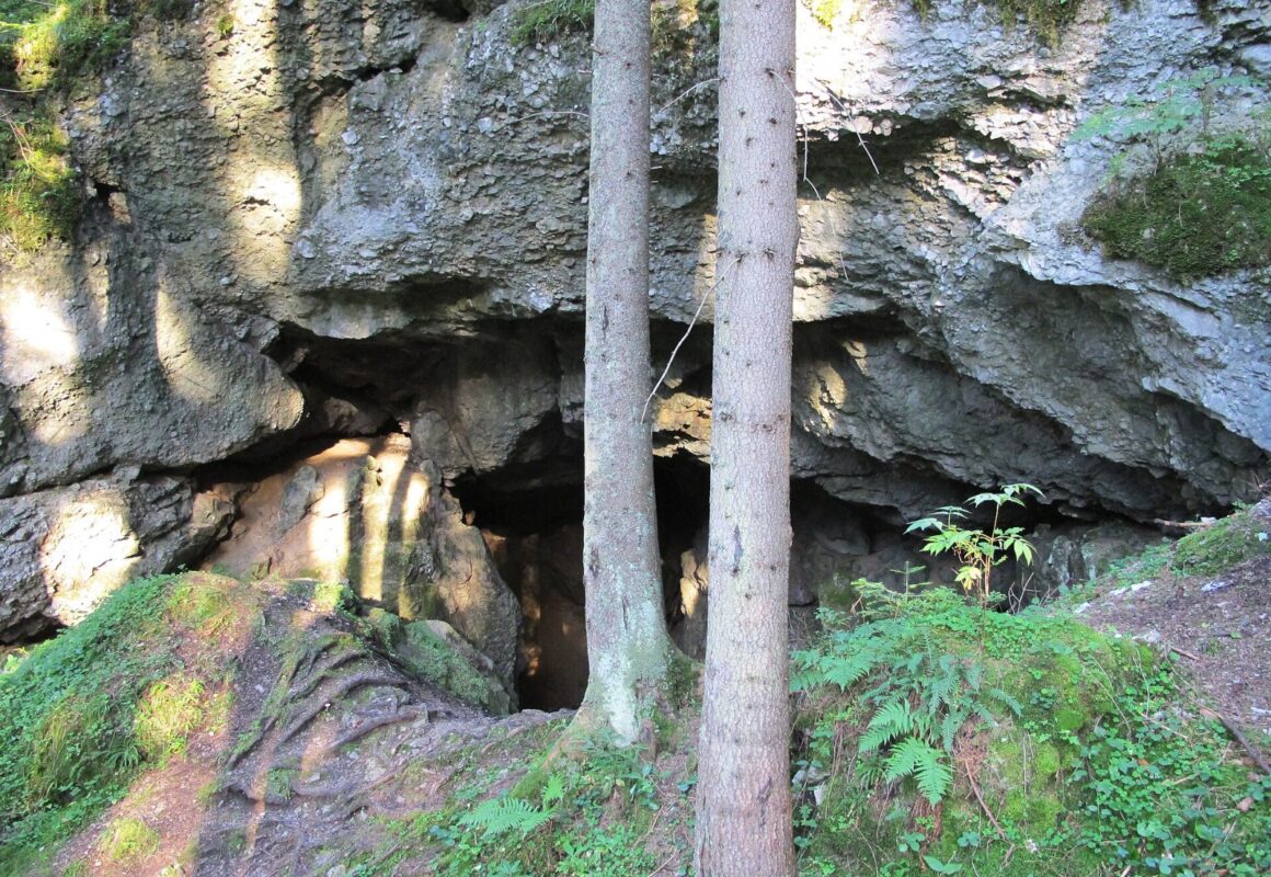 Brestovská jaskyňa