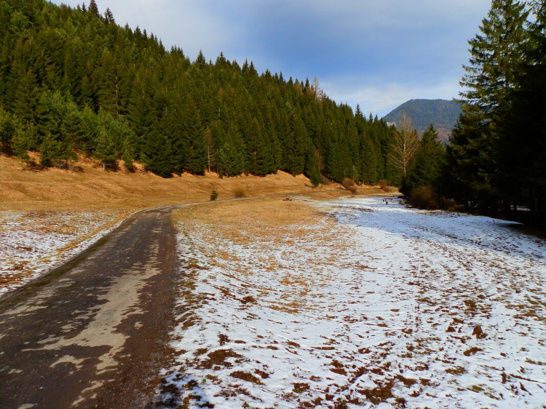 Čutkovo