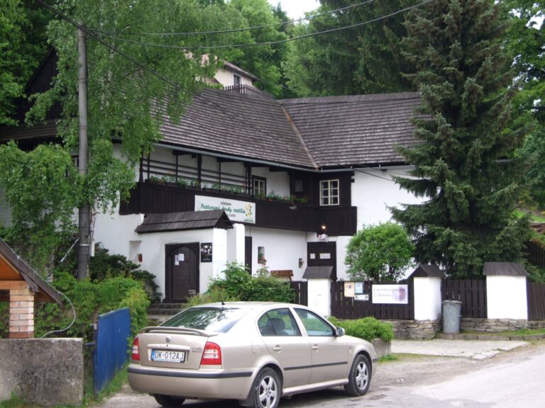 Florinov dom