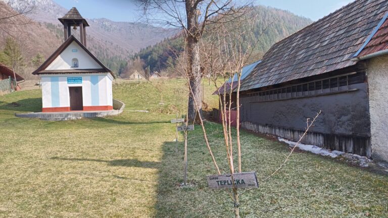 Hojdačka v Stankovanoch