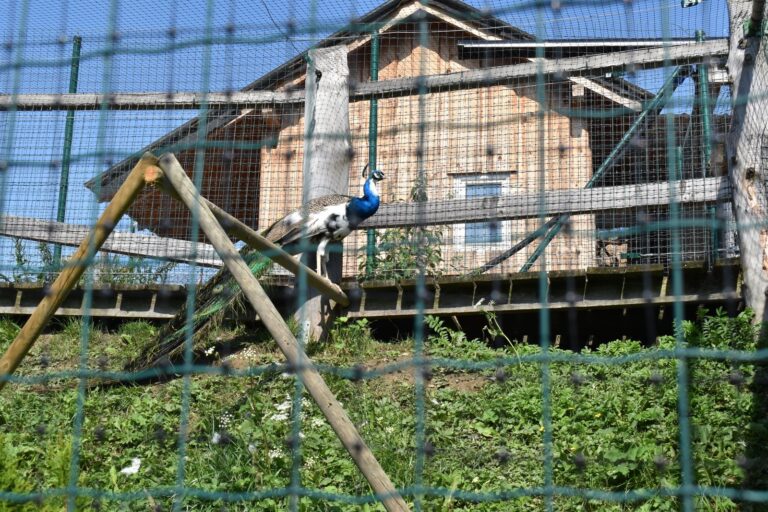 Reštaurácia a exotická farma Pod Hájom – Chlebnice