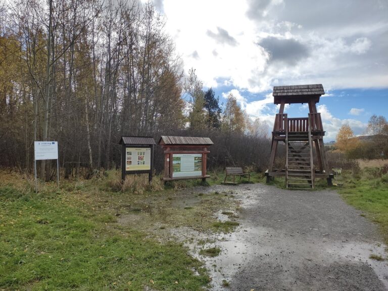 Rozhľadňa pri Klinskom rašelinisku – Klin