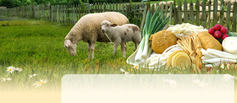 Salaš Krajinka