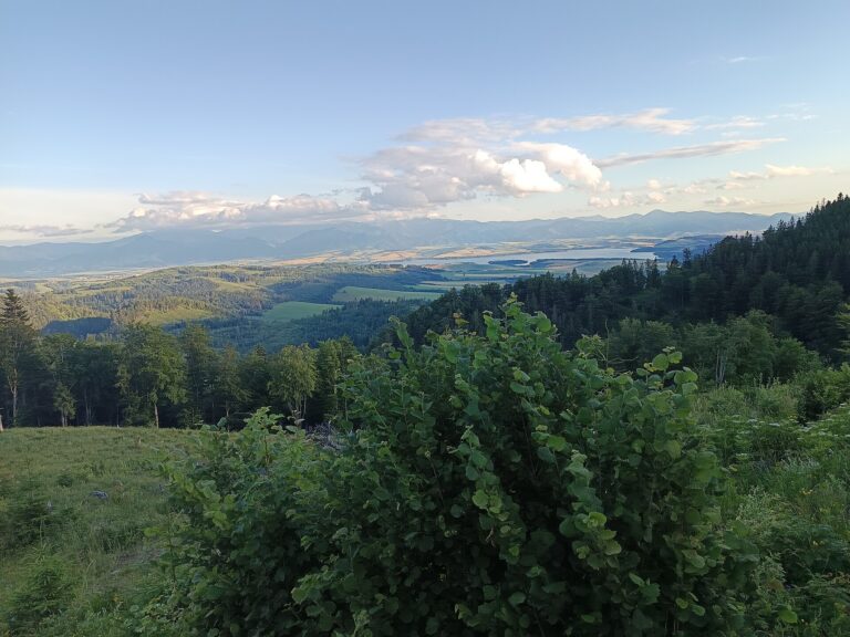 Savoš