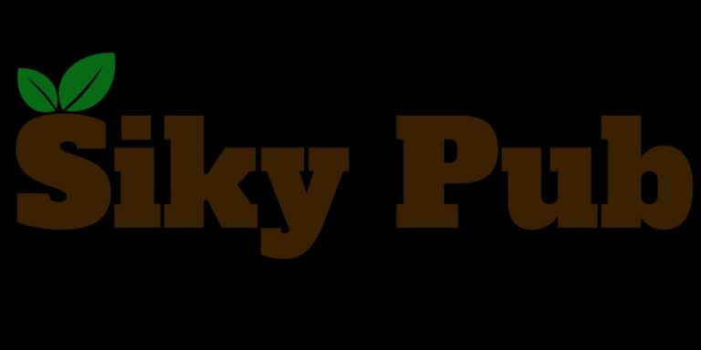 Šiky Pub