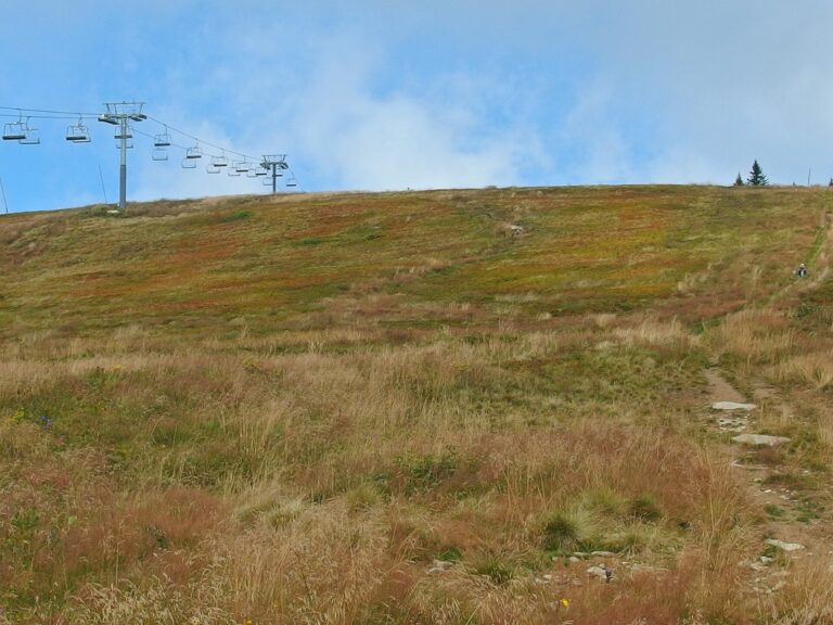 Ski park Kubínska hoľa