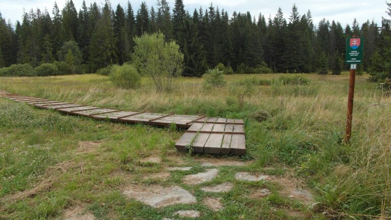 Slaná voda – minerálny prameň a rašelinisko