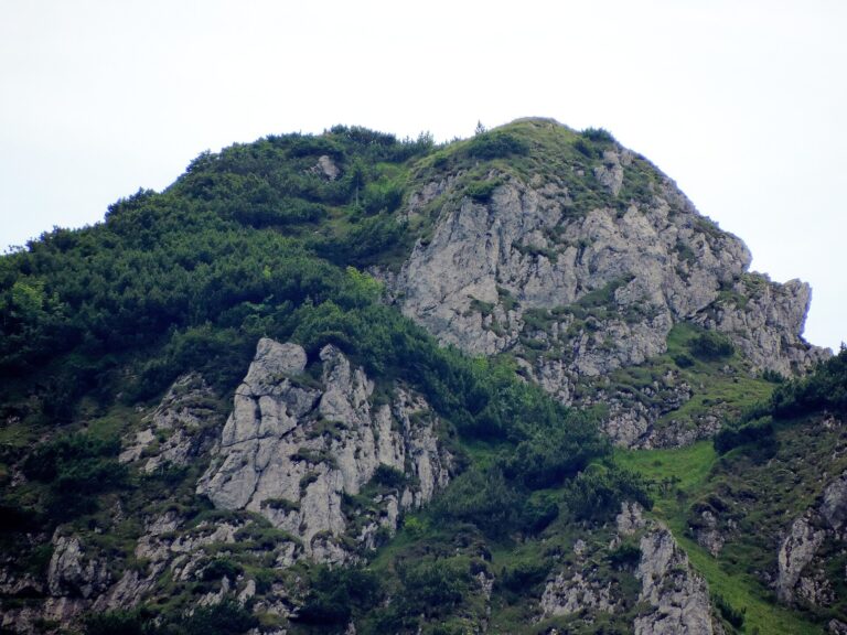Tanečnica