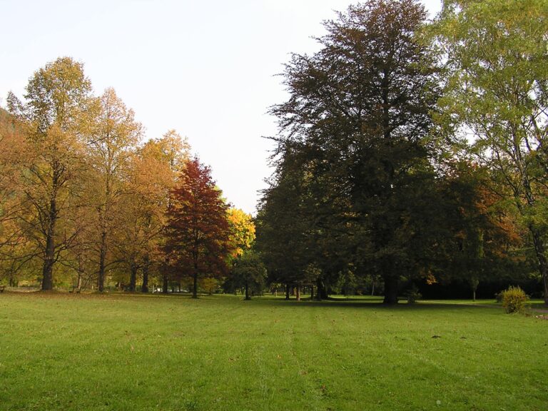Veľký park Ľubochňa